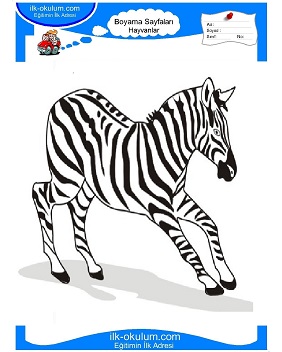 Çocuklar İçin Zebra Boyama Sayfaları 